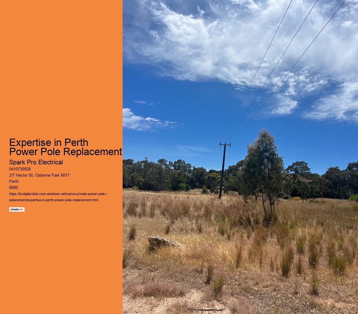Expert Private Power Pole Replacement Team